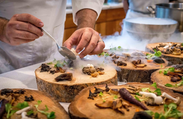 eating insects, food, health, insects, nutrition